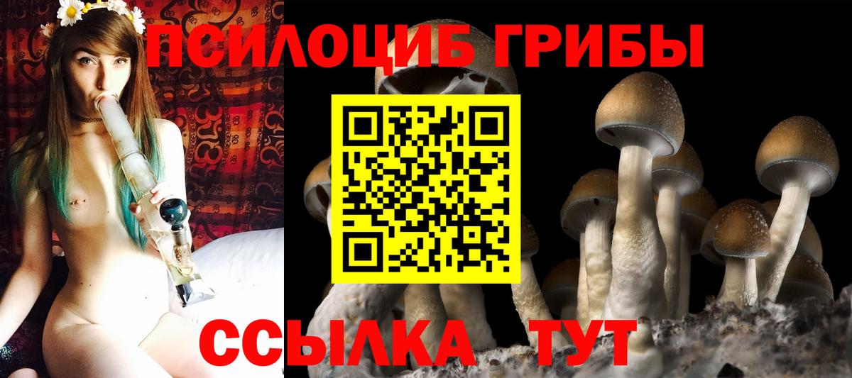Псилоцибиновые грибы Cubensis  Вход с VPN  Реутов  Галлюциногенные грибы прущие грибы 